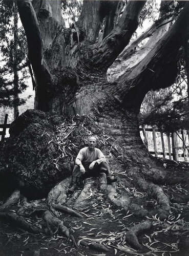 Edward Weston, Carmel Highlands, CA van Ansel Adams, Fotografie te koop op Singulart