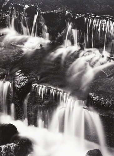 Fern Springs, Dusk van Ansel Adams, Fotografie te koop op Singulart