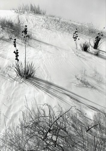 Dunes, Hazy Sun, White Sands National Monument, New Mexico van Ansel Adams, Fotografie te koop op Singulart