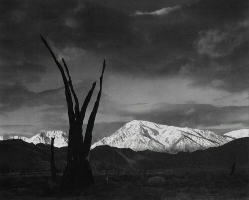 Sunrise Mount Tom, Sierra Nevada, CA van Ansel Adams, Fotografie te koop op Singulart