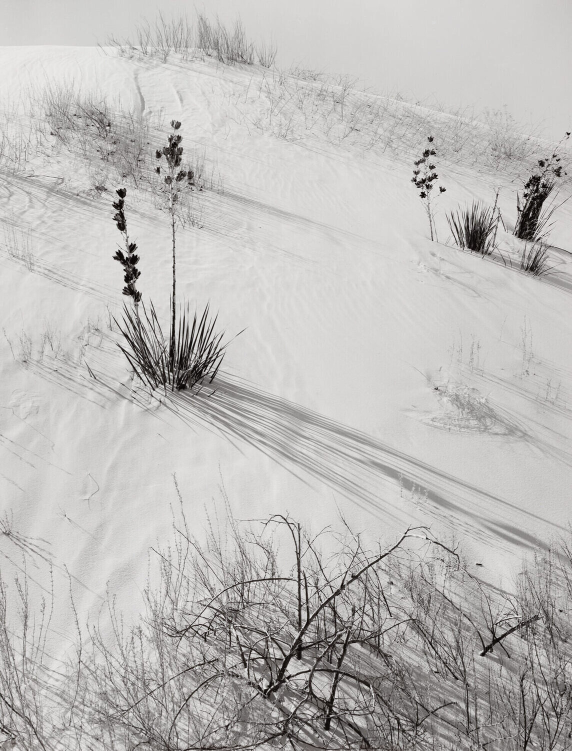 Dunes, Hazy Sun, White Sands National Monument, New Mexico Ansel Adams Fotografie zu verkaufen