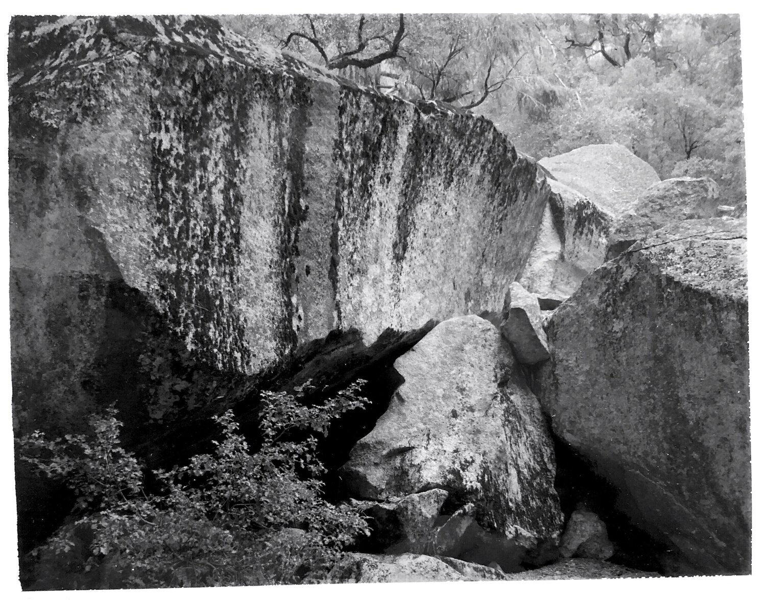 Fallen Rock, Yosemite Ansel Adams Fotografie te koop