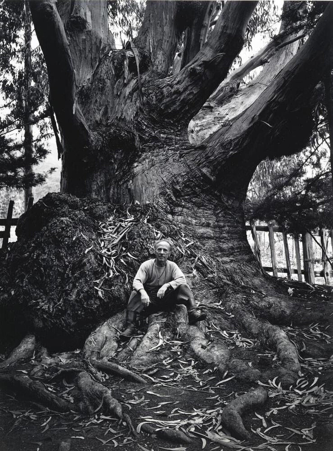 Edward Weston, Carmel Highlands, CA Ansel Adams Fotografia in vendita