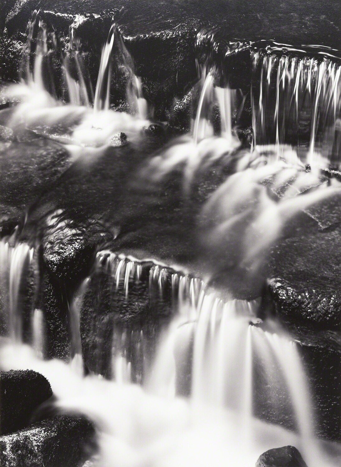 Fern Springs, Dusk Ansel Adams Fotografie zu verkaufen