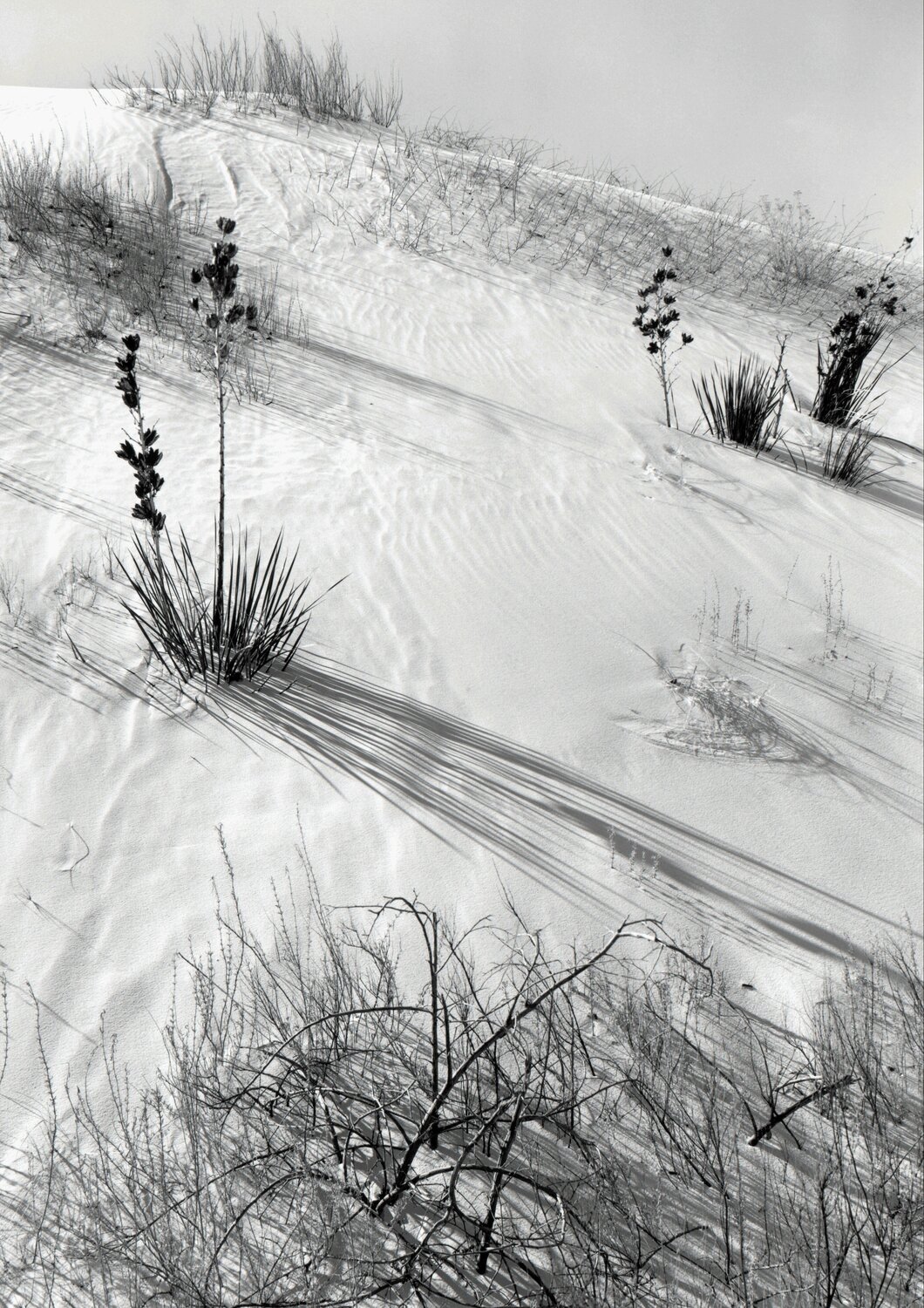 Dunes, Hazy Sun, White Sands National Monument, New Mexico Ansel Adams Fotografie zu verkaufen