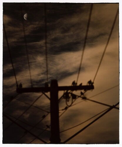 Untitled #112 van Bill Henson, Fotografie te koop op Singulart