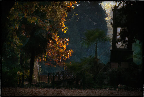 Untitled van Bill Henson, Fotografie te koop op Singulart