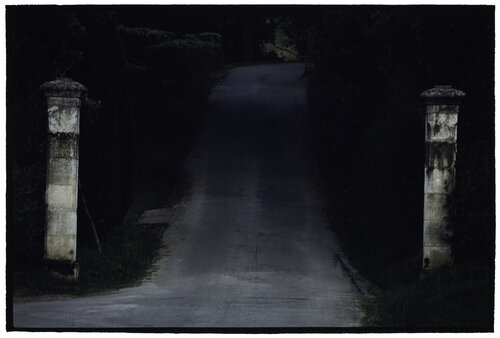 Untitled van Bill Henson, Fotografie te koop op Singulart