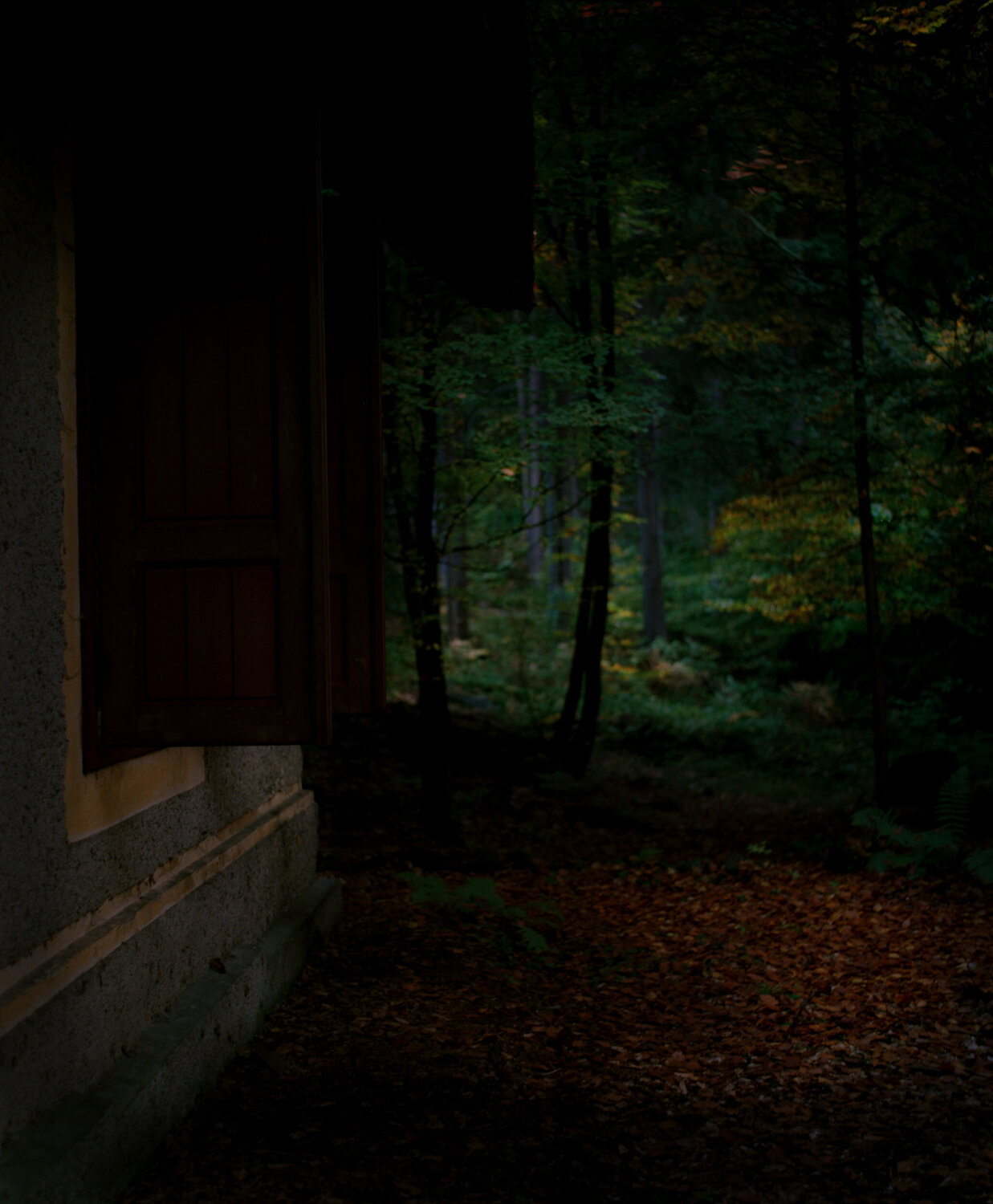 Untitled #13 Bill Henson