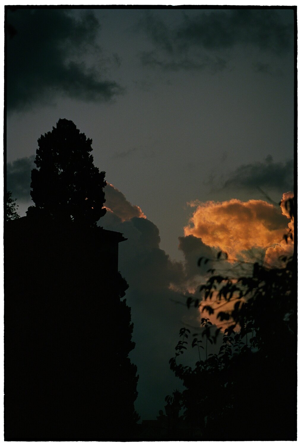 Untitled Bill Henson