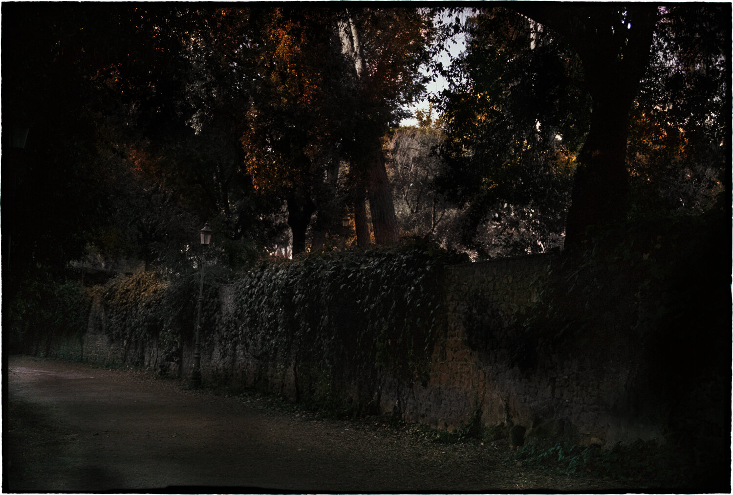 Untitled Bill Henson