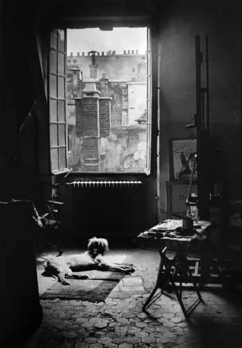 Le Chien Kazbek dans l'Atelier de Picasso, Quai des Grands Augustins, Paris de Brassaï, Fotografía a la venta en Singulart