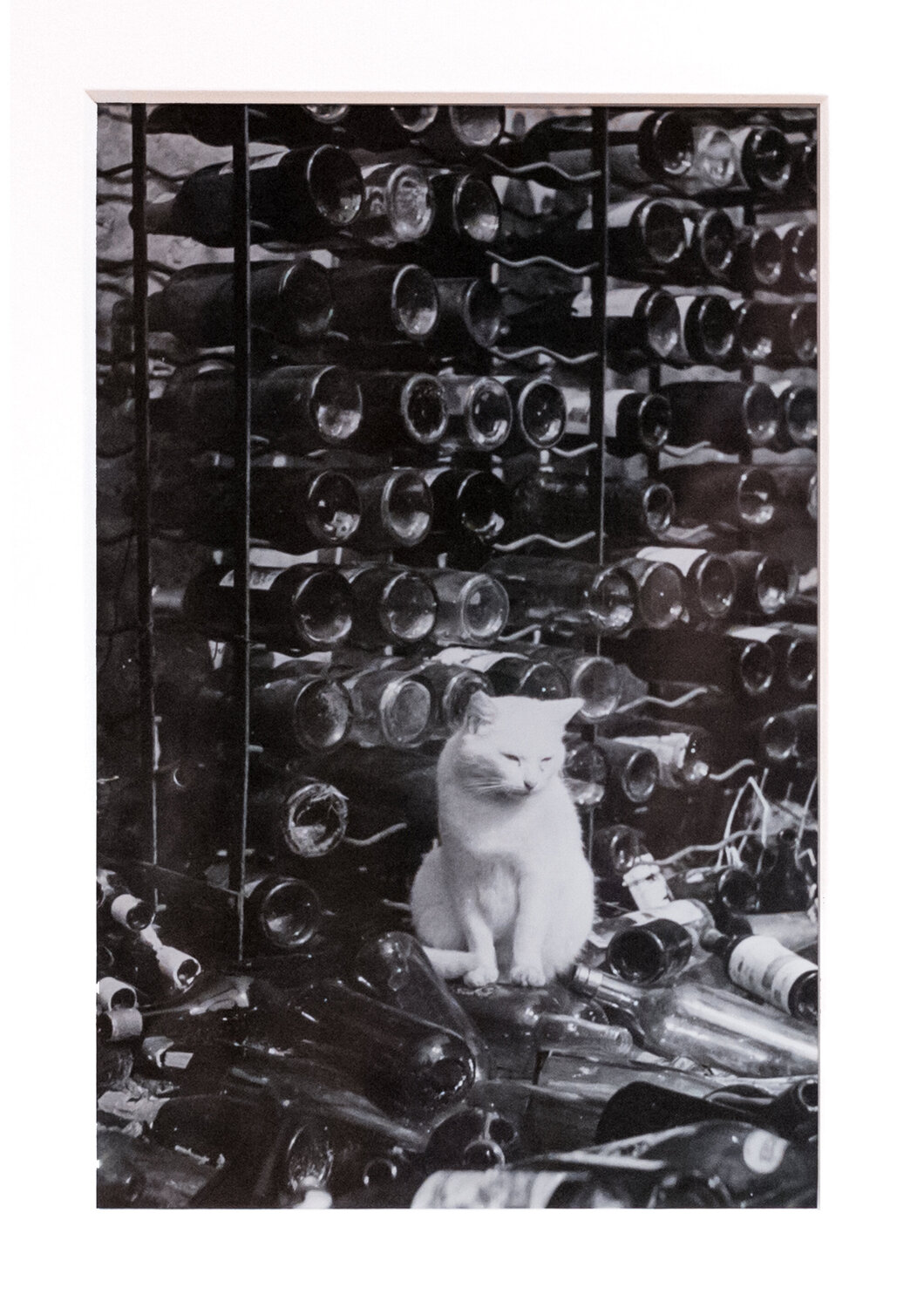 Chat dans la cave Brassaï Fotografia in vendita