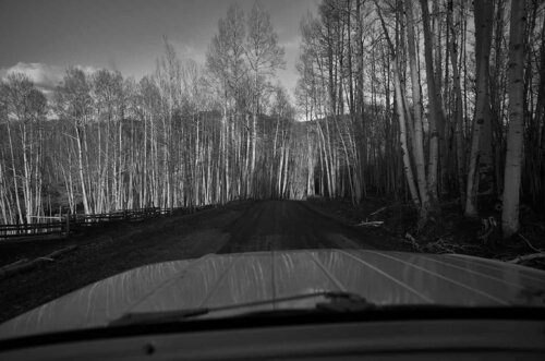 Untitled by Brian Bowen Smith, Photography for Sale on Singulart