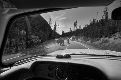 Untitled van Brian Bowen Smith, Fotografie te koop op Singulart
