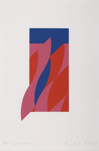 One Small Step van Bridget Riley, Afdruk te koop op Singulart
