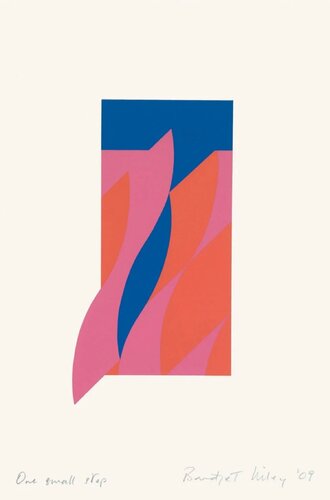 One Small Step di Bridget Riley, Stampa in vendita su Singulart