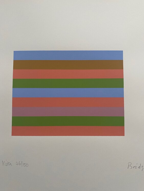 Vista Bridget Riley