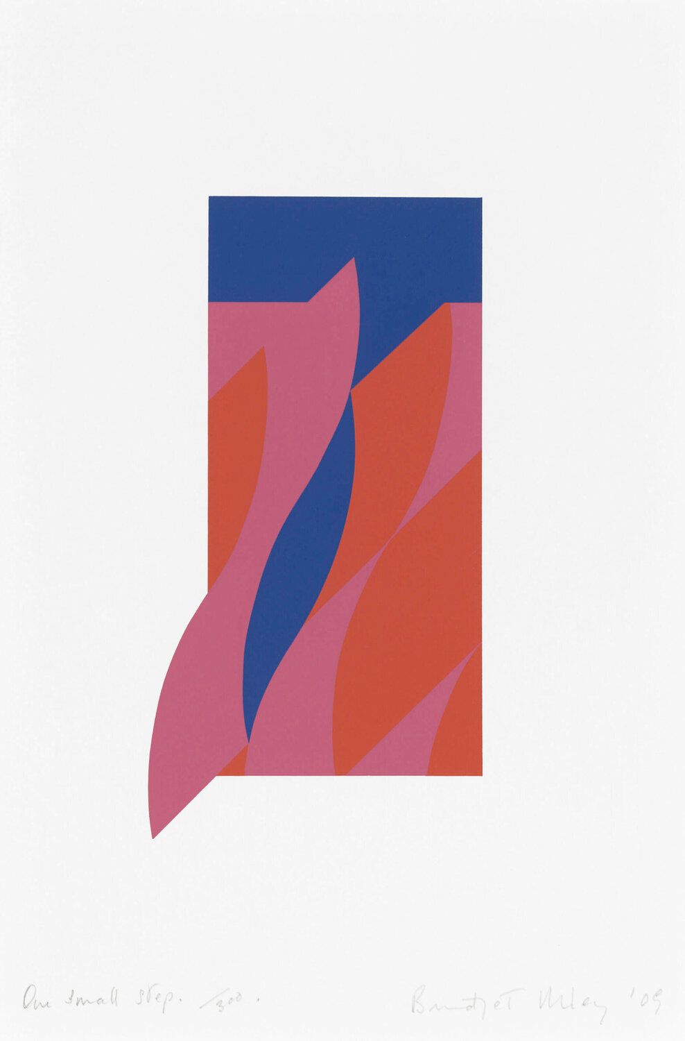 One Small Step Bridget Riley