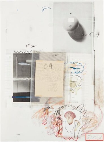 Natural History, Mushroom, part 1 n.VIII by Cy Twombly, Print for Sale on Singulart