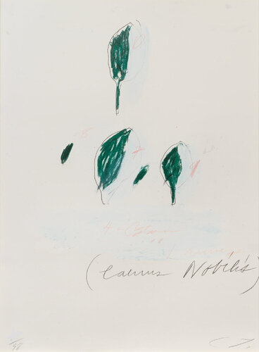 Natural History Part II: Some Trees of Italy (Laurus Nobilis) by Cy Twombly, Work on Paper for Sale on Singulart