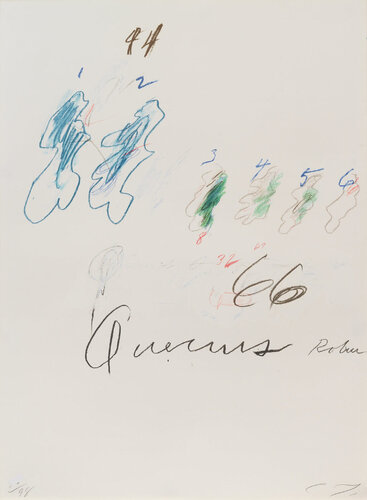Natural History Part II: Some Trees of Italy (Quercus Robur) by Cy Twombly, Work on Paper for Sale on Singulart
