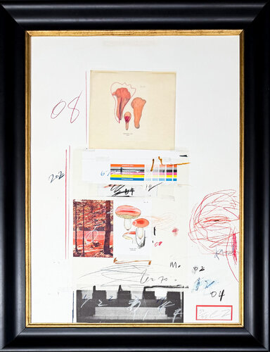 Natural History Part I: Mushrooms by Cy Twombly, Print for Sale on Singulart
