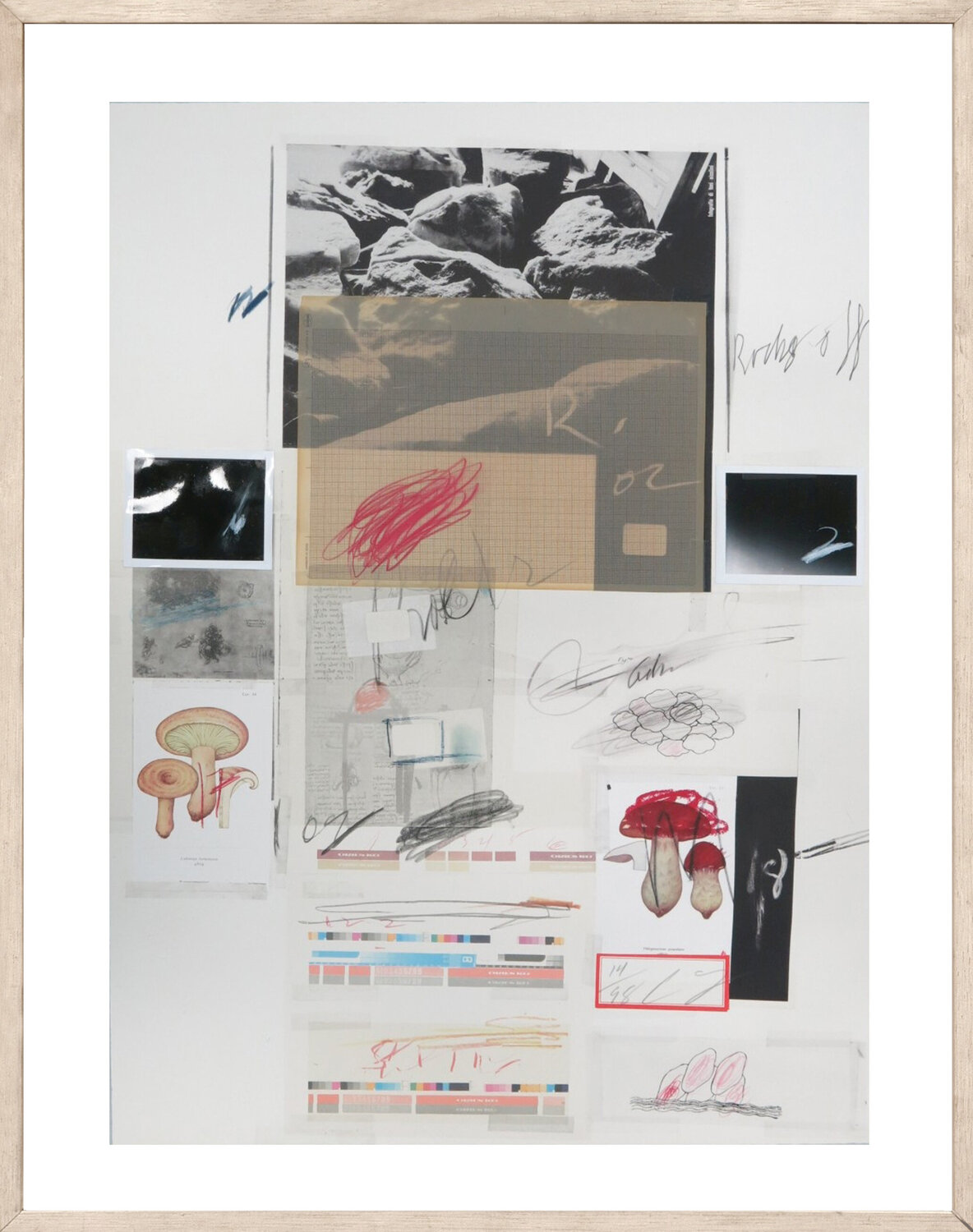 Natural History, Part I: Mushrooms, no. X Cy Twombly Druck zu verkaufen