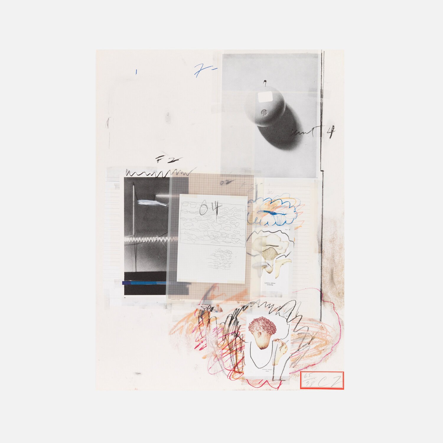 Natural History Part I, Mushrooms: Plate VIII Cy Twombly Druck zu verkaufen