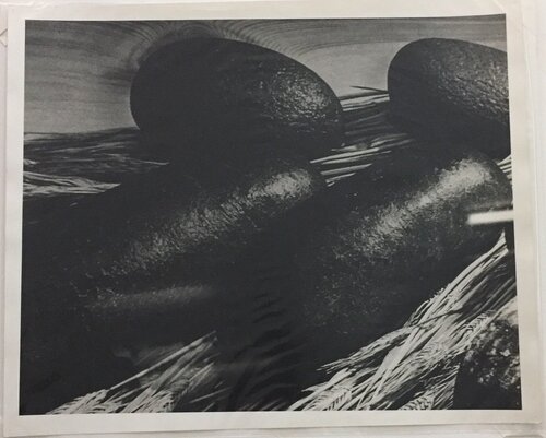 Untitled van Daido Moriyama, Fotografie te koop op Singulart