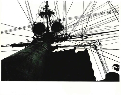 Memory of Dog 8 van Daido Moriyama, Fotografie te koop op Singulart