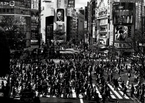 Pretty Woman van Daido Moriyama, Fotografie te koop op Singulart