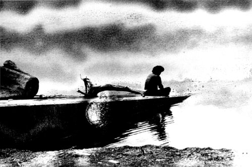 Hokkaido, Japon van Daido Moriyama, Fotografie te koop op Singulart