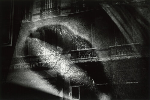 MORIYAMA Diado van Daido Moriyama, Fotografie te koop op Singulart