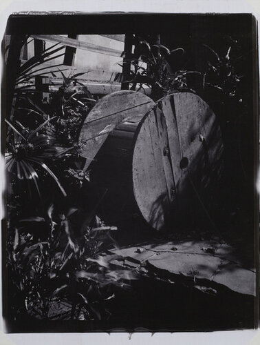 A Place in the sun - Sakuragaoka, Shibuya-ku- van Daido Moriyama, Fotografie te koop op Singulart