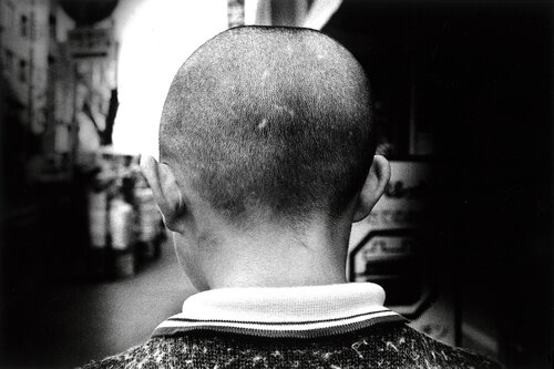 Memory of Dog 2 van Daido Moriyama, Fotografie te koop op Singulart