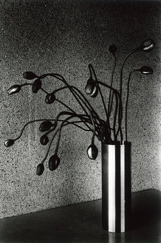 DOCUMANTARY 79 van Daido Moriyama, Fotografie te koop op Singulart