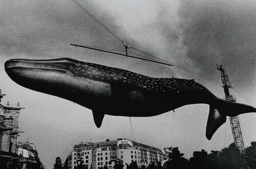 A tale of II Cities 4, Paris van Daido Moriyama, Fotografie te koop op Singulart