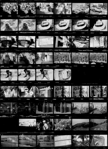Labyrinth van Daido Moriyama, Fotografie te koop op Singulart