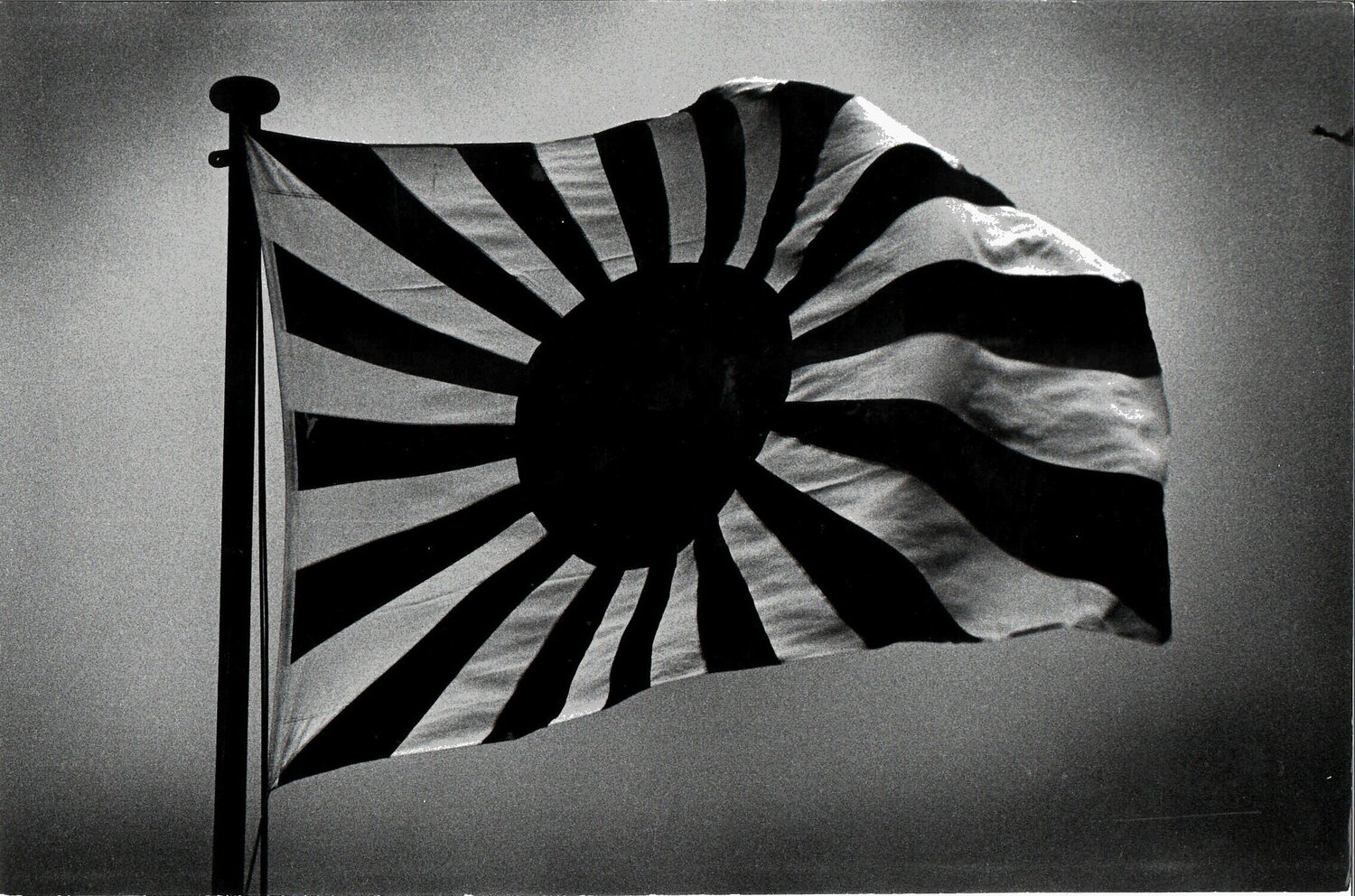 Hokkaido Daido Moriyama Fotografia in vendita
