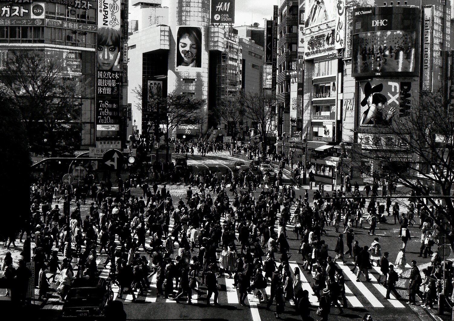 Pretty Woman Daido Moriyama Fotografia in vendita