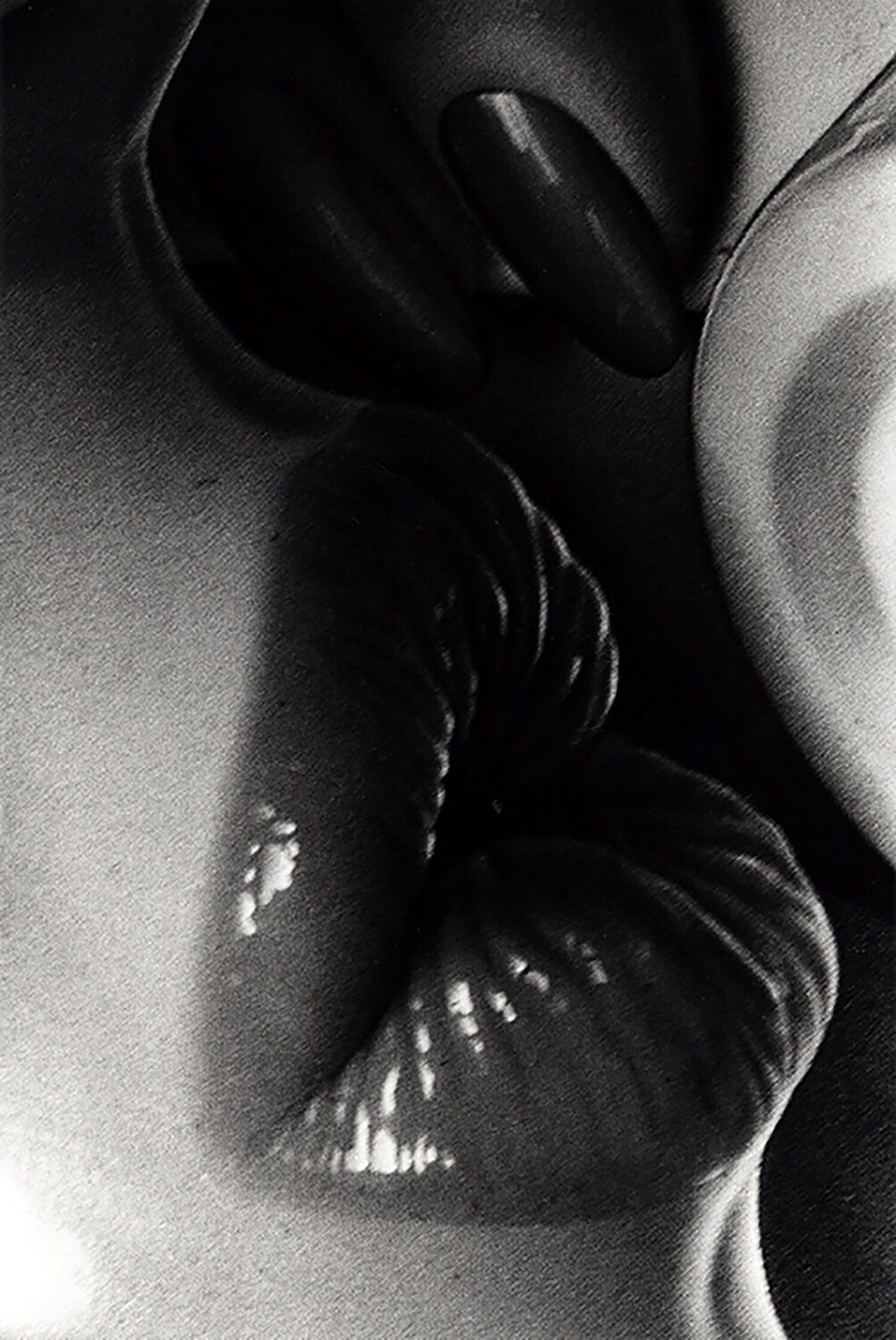 untitled Daido Moriyama Photography for sale