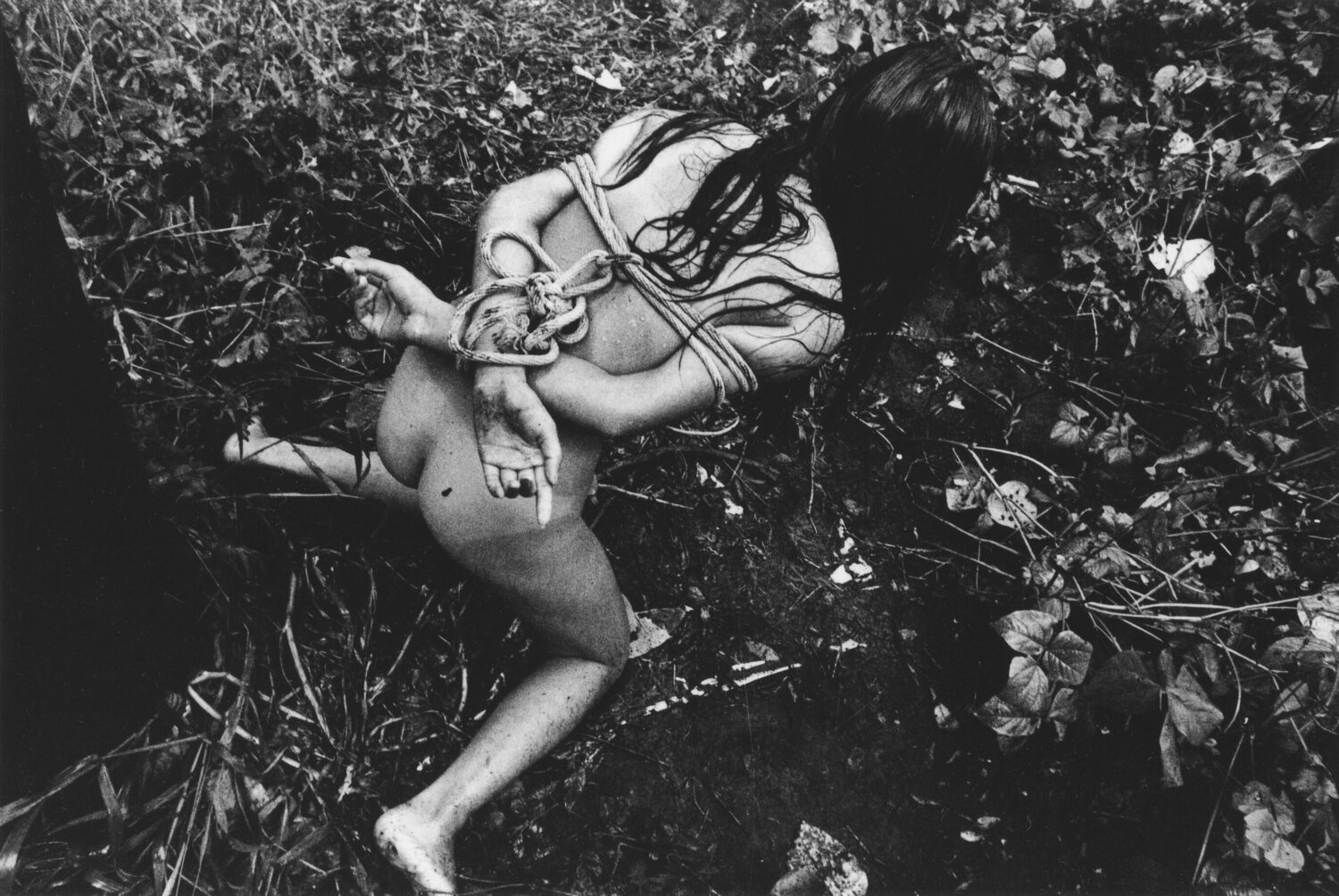 Untitled Daido Moriyama Photography for sale