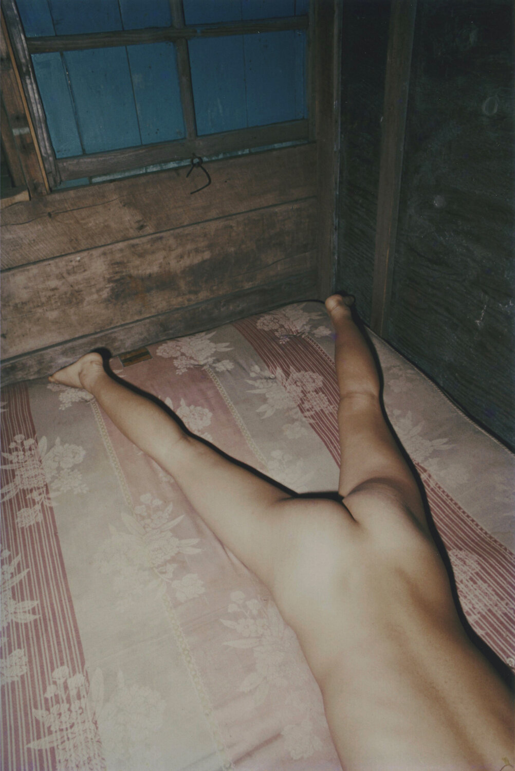 Untitled Daido Moriyama Photography for sale