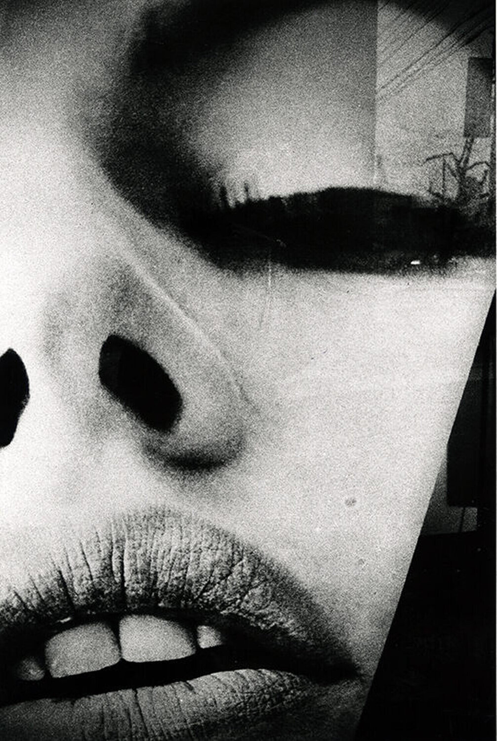 Eros or Something other than Eros, 1969 Daido Moriyama Fotografie zu verkaufen