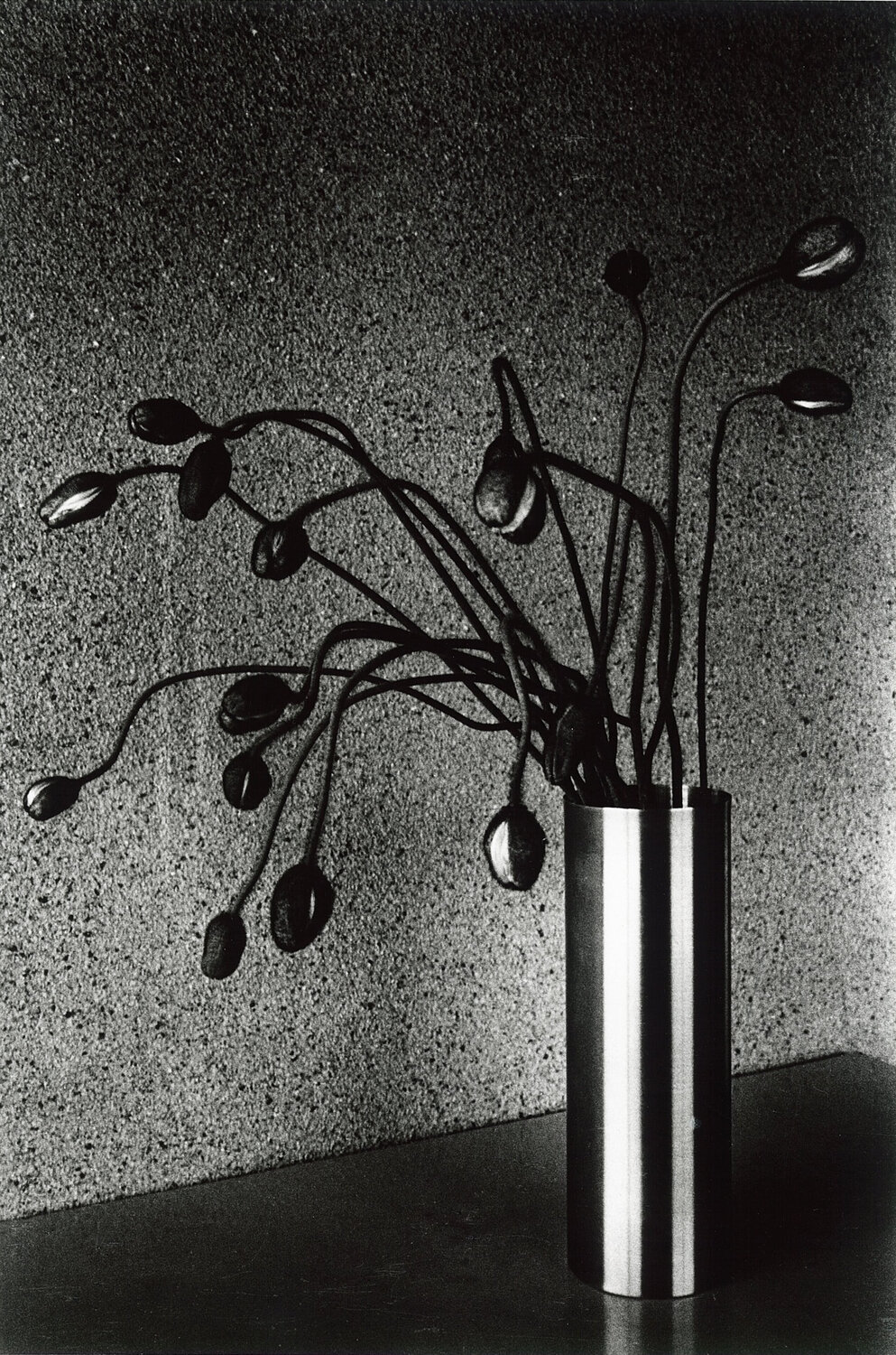 DOCUMANTARY 79 Daido Moriyama Fotografie te koop