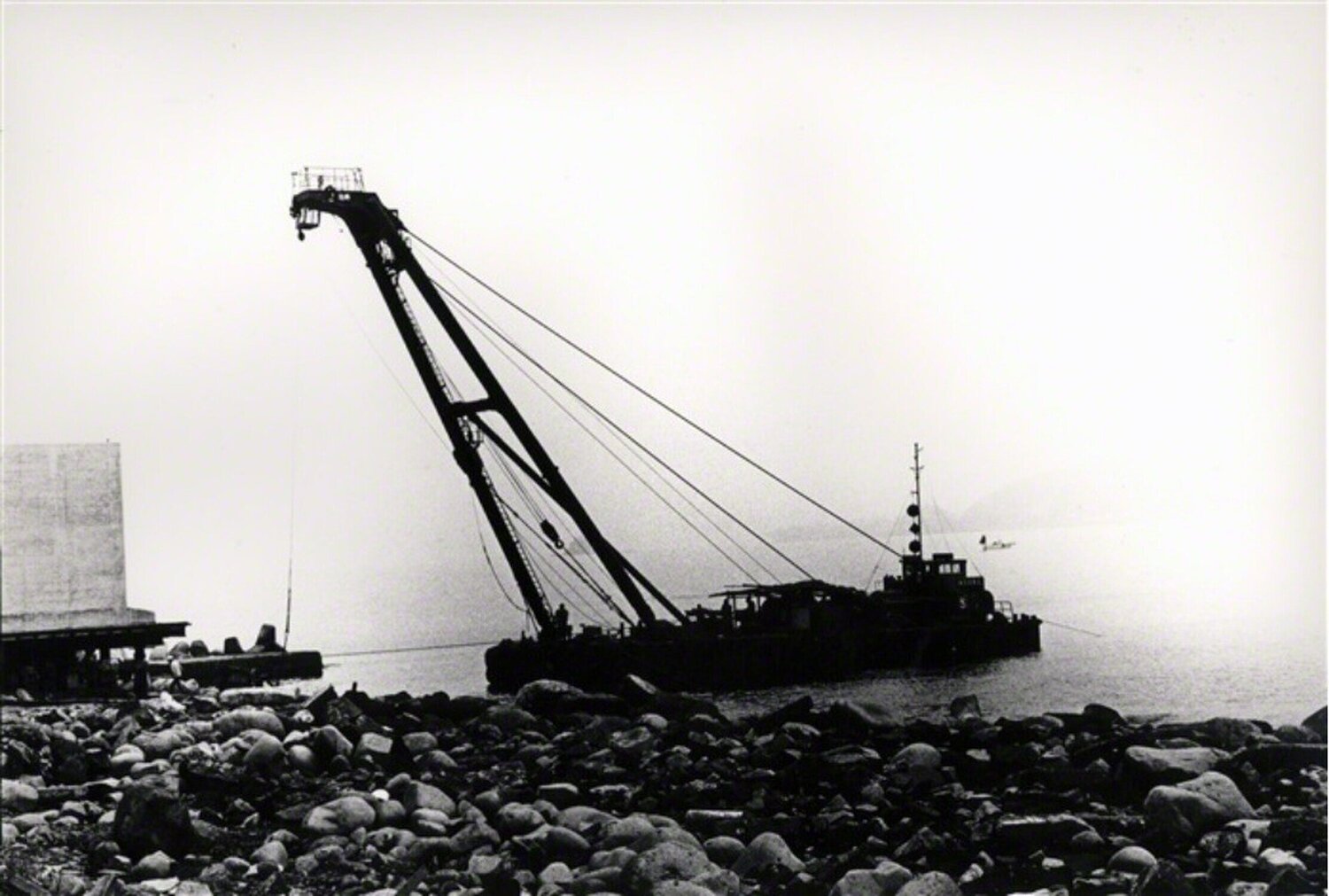 Biography of Light 1 (No. 2284) Daido Moriyama Fotografie zu verkaufen