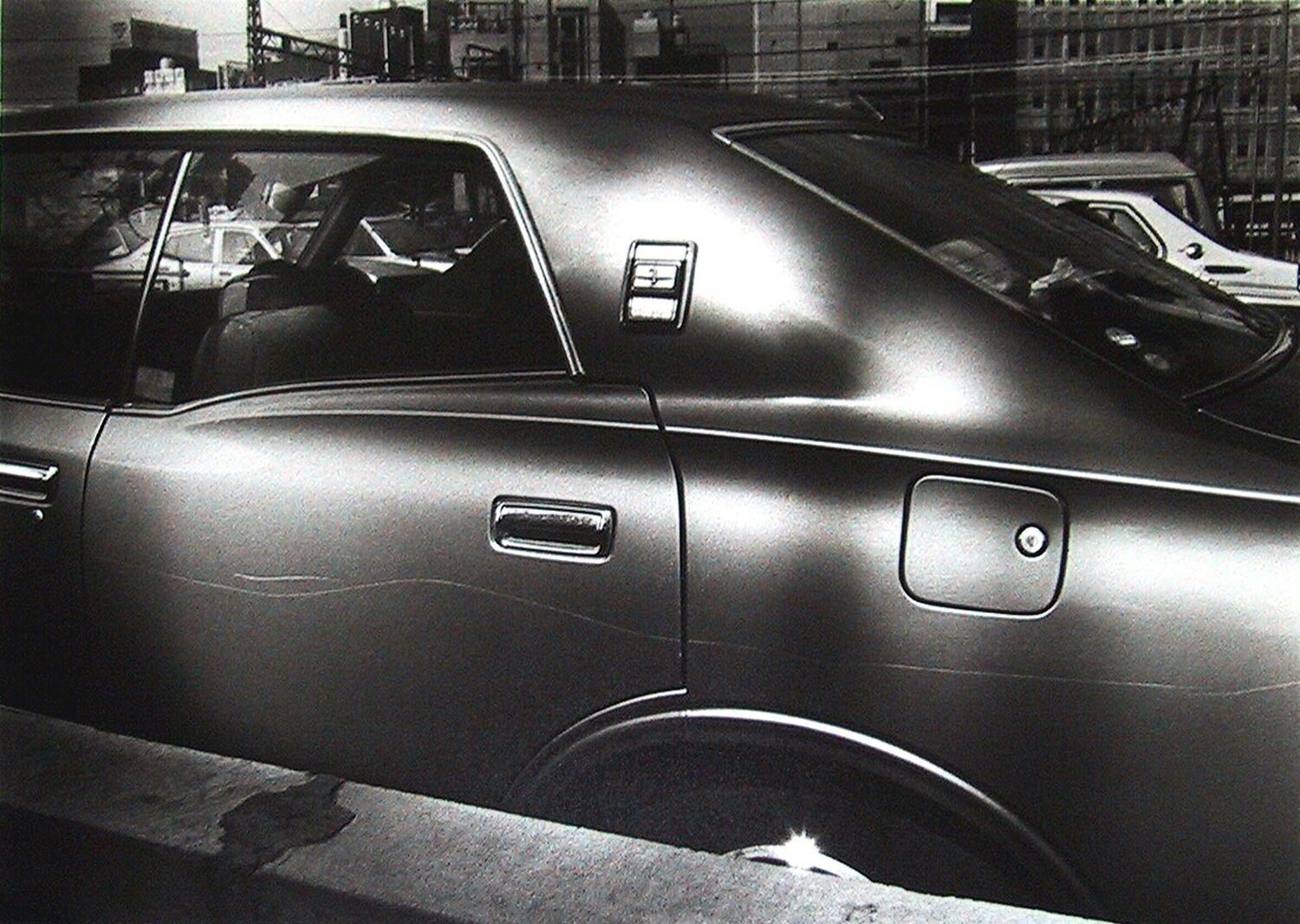Memory of a Dog 2 (No. 2044) Daido Moriyama Fotografie zu verkaufen