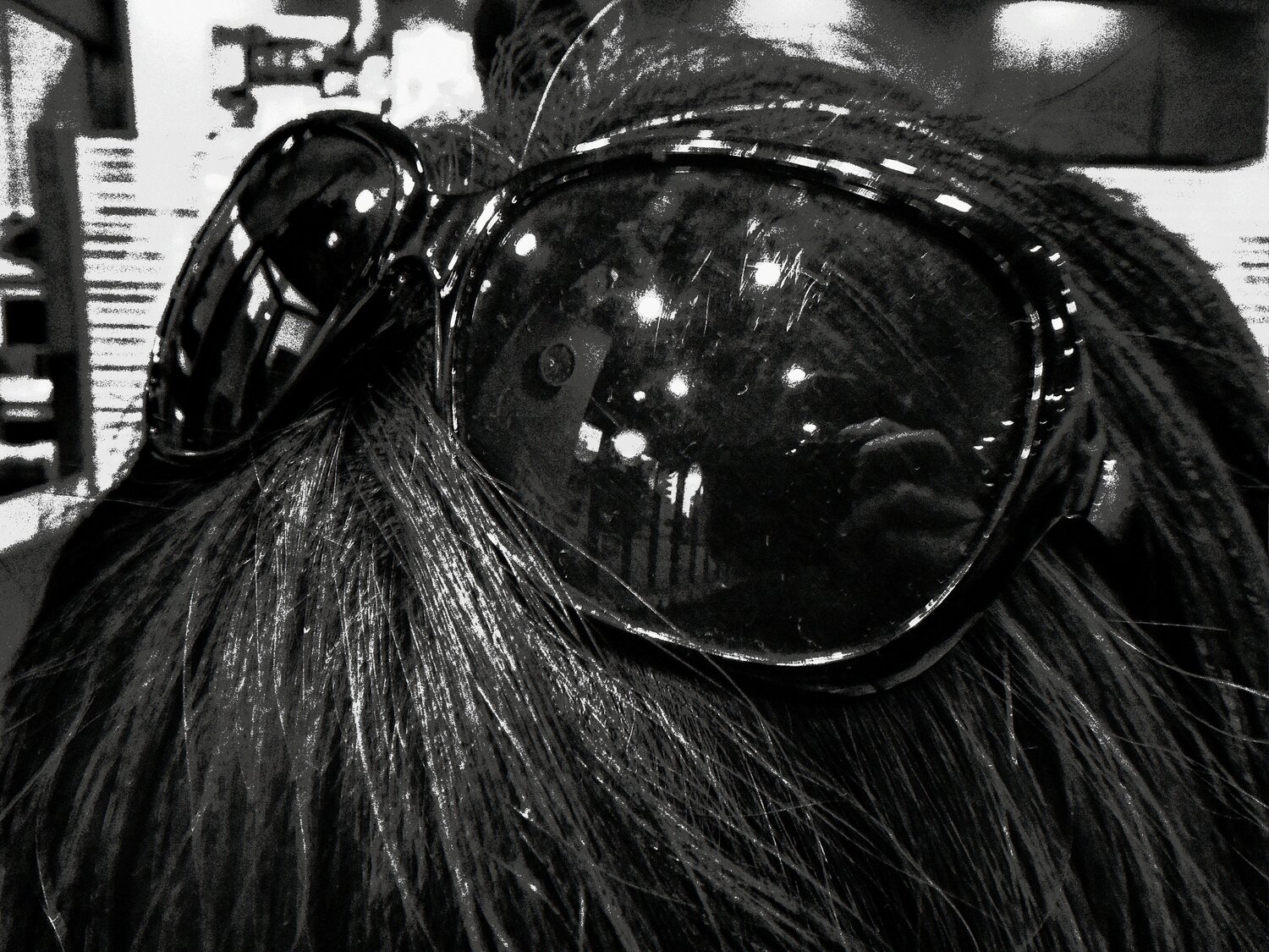 untitled Daido Moriyama Fotografie te koop