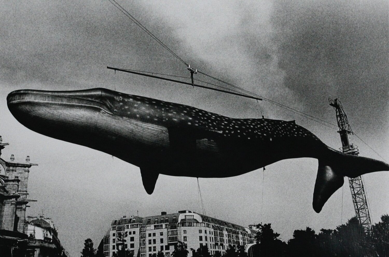 A tale of II Cities 4, Paris Daido Moriyama Fotografie zu verkaufen